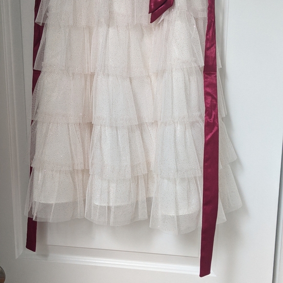 Beautiful Jona Michelle Girls Tulle Dress, Sz 12 - Picture 12 of 16